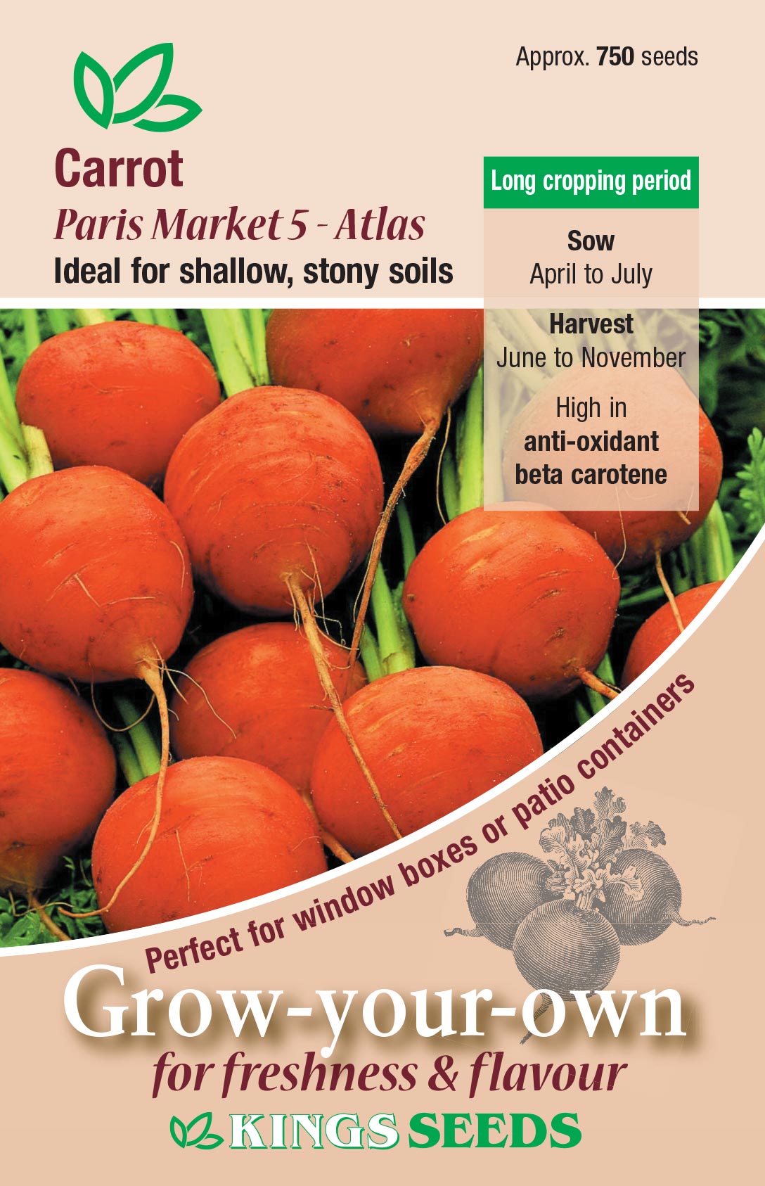 Carrot - Paris Market 5 - Atlas