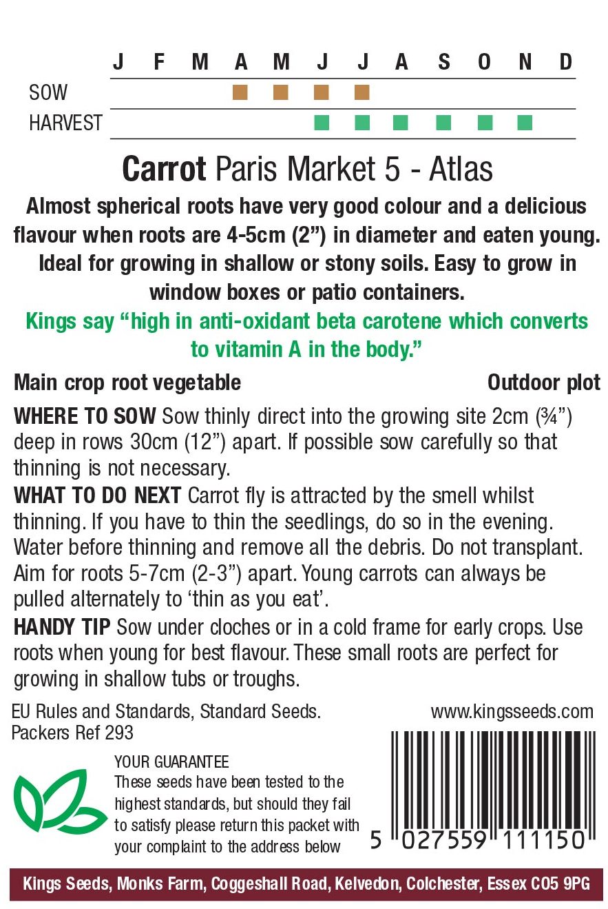 Carrot - Paris Market 5 - Atlas - Image 2