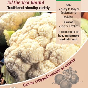 Cauliflower - All The Year Round