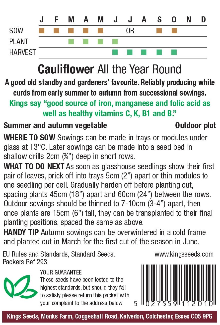 Cauliflower - All The Year Round - Image 2