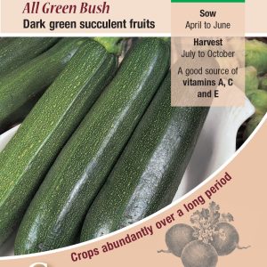 Courgette - All Green Bush