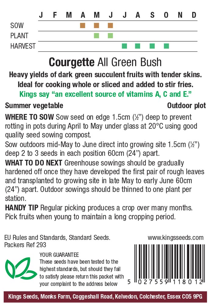 Courgette - All Green Bush - Image 2