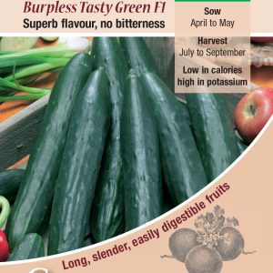 Cucumber - Burpless Tasty Green F1