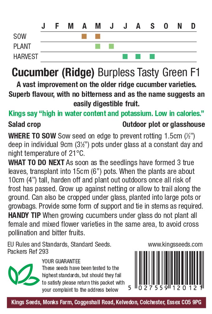 Cucumber - Burpless Tasty Green F1 - Image 2