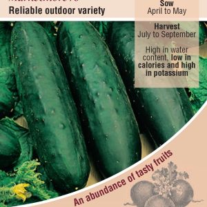 Cucumber - Marketmore 76