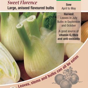 Fennel - Sweet Florence (Feoniculum vulgare Mill)