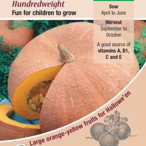 Pumpkin - Hundredweight (Cucubita maxima)