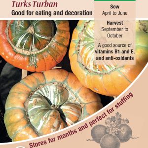 Winter Squash - Turks Turban (Cucubita pepo)