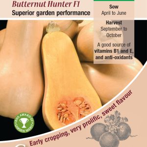 Winter Squash - Butternut Hunter F1
