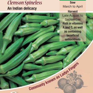 Okra - Clemsons Spineless