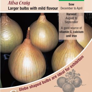 Onion - Ailsa Craig