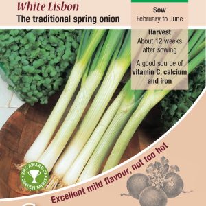 Onion - White Lisbon