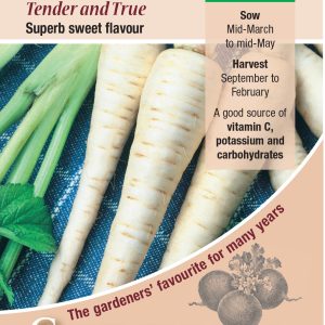 Parsnip - Tender & True