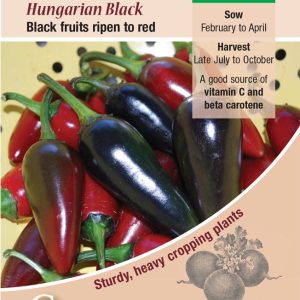 Chilli Pepper - Hungarian Black