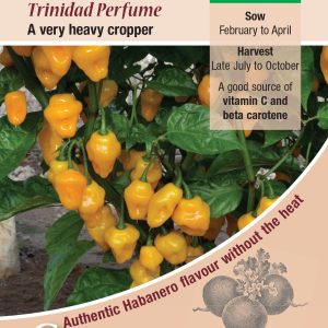 Chilli Pepper - Trinidad Perfume