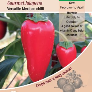 Chilli Pepper - Gourmet Jalapeno