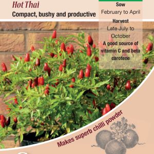 Chilli Pepper - Hot Thai