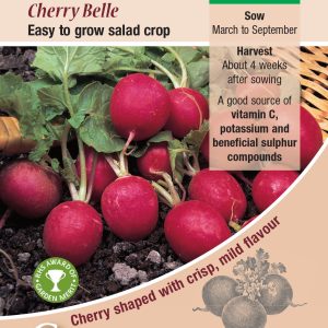 Radish - Cherry Belle