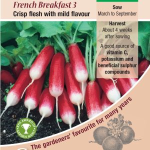 Radish - French Breakfast 3