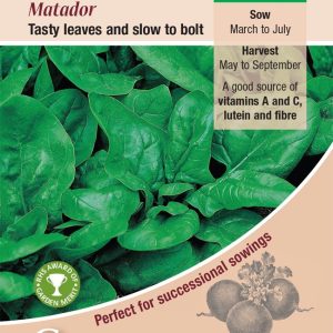 Spinach - Matador