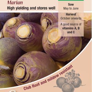 Swede - Marian