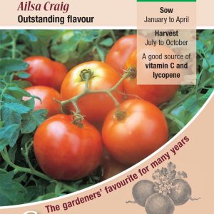 Tomato - Ailsa Craig