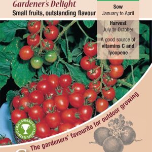 Tomato - Gardeners Delight