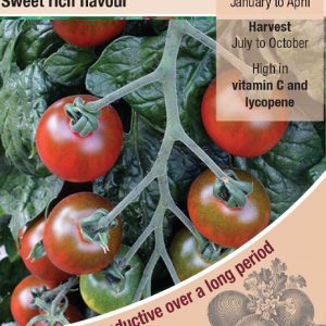 Tomato - Ruby Falls