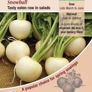 Turnip - Snowball - 1200 Seeds (Av.)