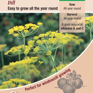 Herb - Dill (Annual)