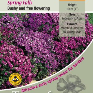 Aubrietia 'Spring Falls' - HP