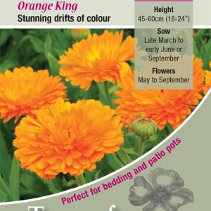 Calendula 'Orange King' - HA