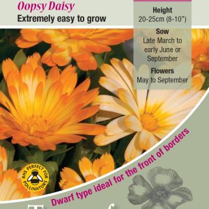 Calendula 'Oopsy Daisy' - HA