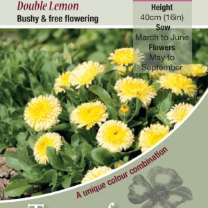 Calendula 'Double Lemon' - HA