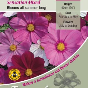 Cosmos 'Sensation Mixed' - HHA