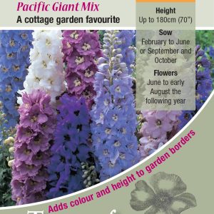 Delphinium 'Pacific Giants Mixed' - HP