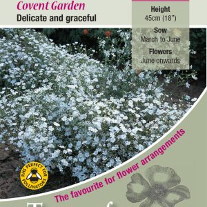 Gypsophilia 'Covent Garden' - HA