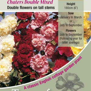 Hollyhock 'Double Mixed' - HP
