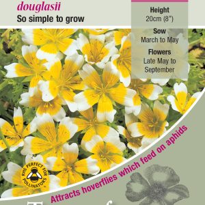 Limnanthes douglasii - HA