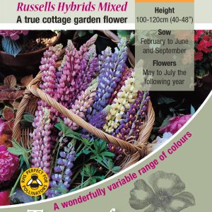 Lupin Russell Mixed Seed - HP