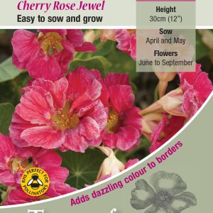Nasturtium 'Cherry Rose Jewel' - HA