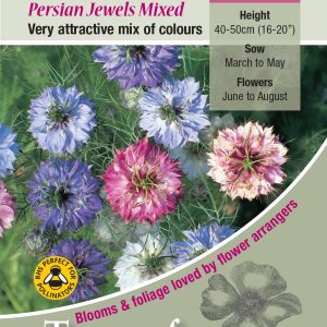 Nigella Persian Jewels - HA