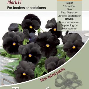 Pansy Atlas Black F1 - HP