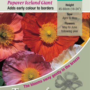 Poppy Iceland Giant - HB