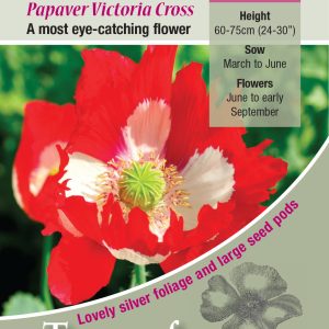 Poppy Victoria Cross - HA