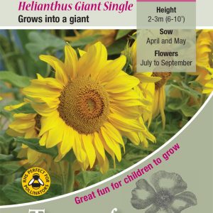Sunflower Giant Single - HA