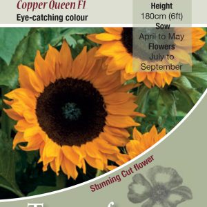 Sunflower Copper Queen F1 - HA