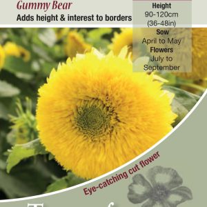 Sunflower Gummy Bear - HA