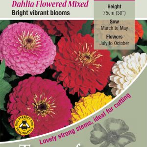 Zinnia Dahlia Flowered Mix - HHA