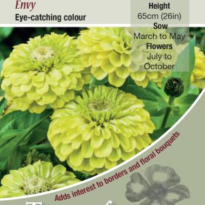 Zinnia Envy - HHA